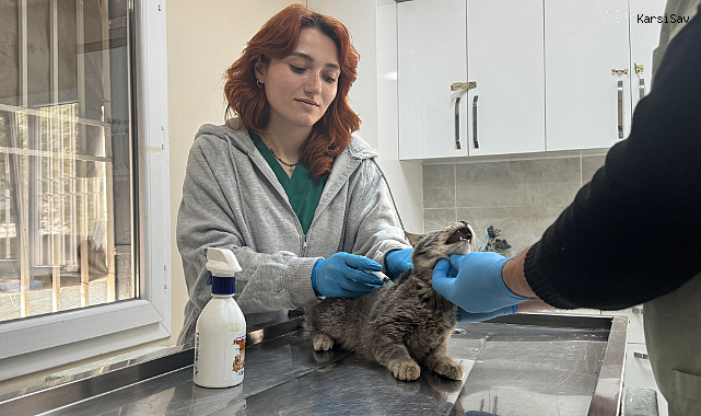 Menderes'te görme engelli kediye, tedavisini yapan veterinerin ismi verildi
