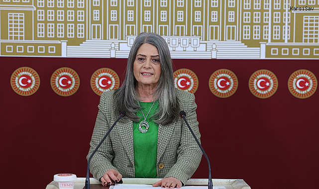Sibel Suiçmez; Ulusal Yargı Ağı Projesi (UYAP) verilerinin, icra dosyalarındaki artışı açıkça gösterdiğini belirtti