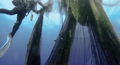 Tarım ve Orman Bakanı Yumaklı: 