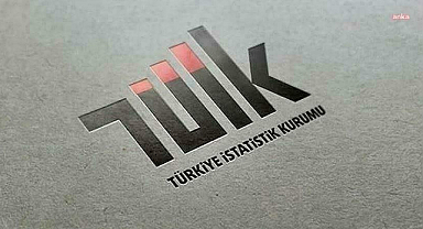 Türkiye'de 2023 yılında yerleşik girişimler tarafından yurt dışında kontrol edilen girişimler 85 milyar 801 milyon dolar ciro elde etti