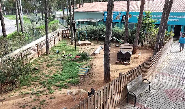 Alanya Belediye Başkanı Özçelik'ten Demirtaş Sahipsiz Hayvan Barınağı ve Geçici Bakımevi'nde inceleme
