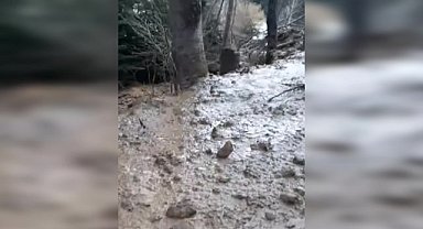 Artvin'in Tosunlu Köyünde heyelan meydana geldi