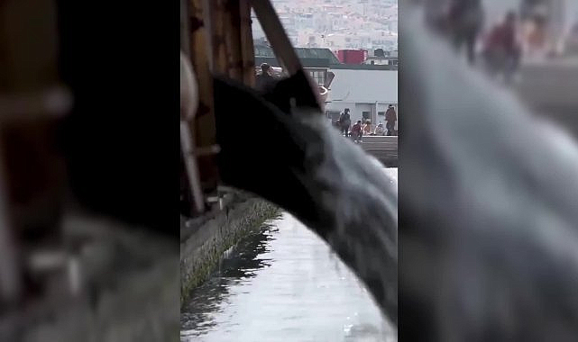 İzmir Körfezi'ndeki deşarja Bakanlık'tan ceza, İZSU'dan açıklama