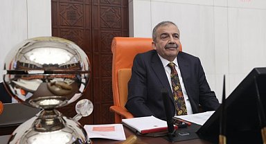 Sırrı Süreyya Önder: "Önümüzdeki üç aylık sürede her şeyin düzenlenmiş olmasını ümit ediyoruz"