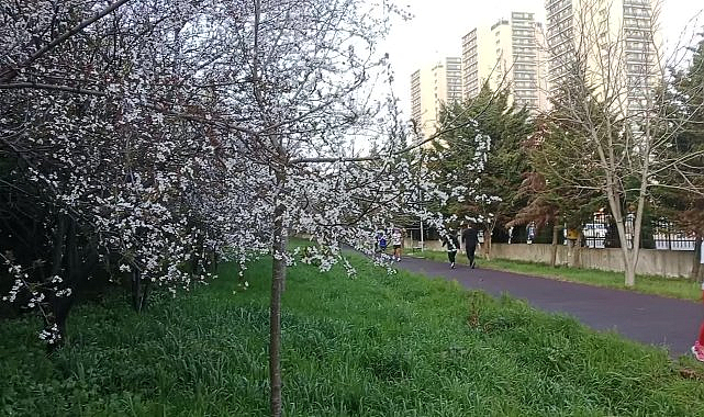 Yarın Trakya için kuvvetli yağış uyarısı yapıldı