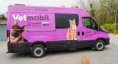 Ataşehir Belediyesi, yeni hayvan ambulansı "Vetmobil"i hizmete sunuyor
