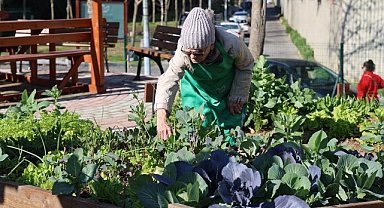 Ataşehir'de kent bostanları için başvurular başladı