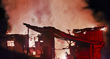 Bilecik İtfaiyesi'nden Selbükü Köyü'nde çıkan yangına etkili müdahale 