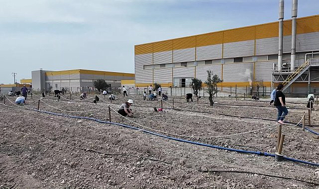 Bornovalı kadınlar Kent Bostanı'nda kendi elleriyle üretiyor