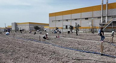 Bornovalı kadınlar Kent Bostanı'nda kendi elleriyle üretiyor 