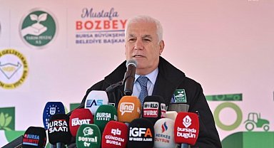 Bursa Büyükşehir Belediyesi'nden çiftçiye 1 milyon 222 bin adet çilek fidesi