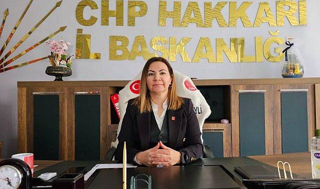CHP Hakkari İl Başkanı Çakırbeyli'den uçak tepkisi: Van uçamıyor Yüksekova devredışı!
