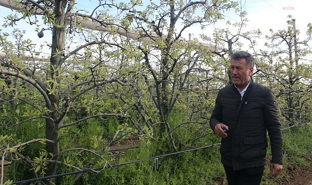 CHP'li Sarıbal: Don olayında yaşanan zarar belirlenerek, çiftçimize 0 faizli yeni destek kredileri sağlanmalıdır