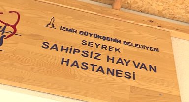 İzmirli veteriner hekimlerden 'barınak' çağrısı: "Barınaklarda kalbinizi çalacak canlar var" 