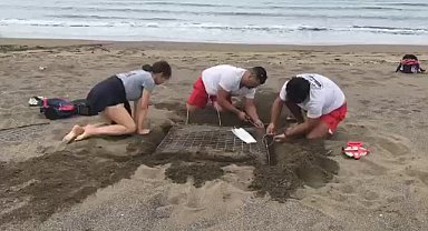 İztuzu Plajı'nda, nesli tehdit altındaki deniz kaplumbağalarının 2025 yılı yuvalama sezonu için hazırlıklar başladı