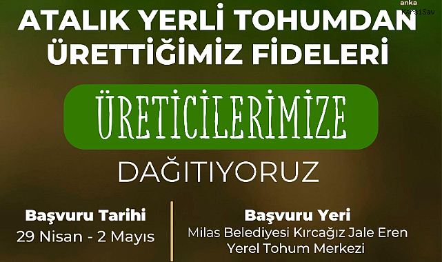 Milas Belediyesi üreticilere yerli ata tohumu dağıtacak