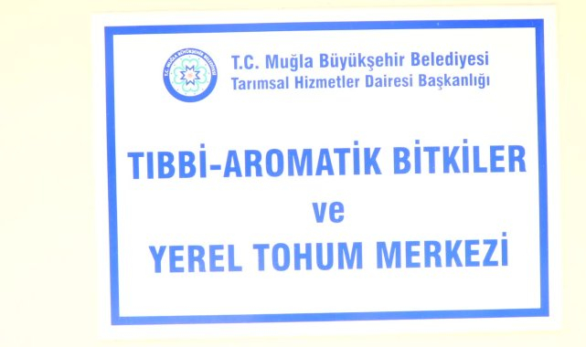Muğla Büyükşehir Belediyesi, 22 milyon yerel tohumu toprakla buluşturdu