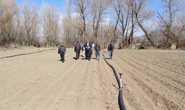 Niğde'de ürünleri zirai dondan zarar gören lahana üreticisi: "61 yaşındayım böyle zirai don görmedim"
