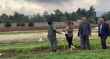 TBMM Başkanvekili Karaca: Tütün üreticileri mağdur, esnaf mağdur  