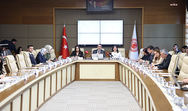 TBMM Yapay Zeka Araştırma Komisyonu'nda Deloitte Mühendislik, YZ ve Veri Ortağı Yenidünya sunumu