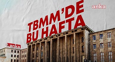 TBMM'de bu hafta İklim Kanunu Teklifi'nin görüşmeleri devam edecek