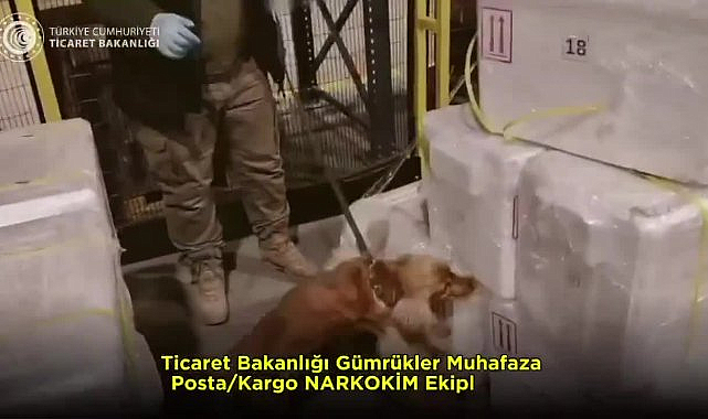 Ticaret Bakanlığı: İstanbul Havalimanı'nda 455 kilo kokain ele geçirildi