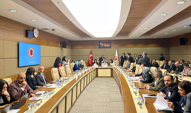 Yapay Zeka Araştırma Komisyonu'nda TÜİK Başkan Yardımcısı Tuğba Değirmenci sunum yaptı