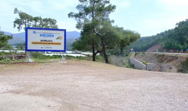 Antalya Büyükşehir Belediyesi, narenciye balını korumak için çalışma başlattı