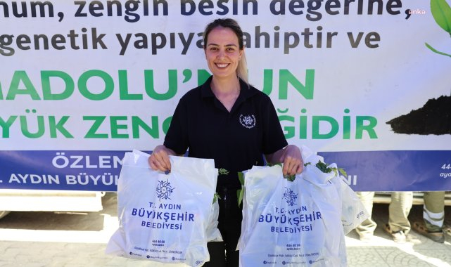 Aydın Büyükşehir Belediyesi Bozdoğan'da 25 bin fide dağıttı