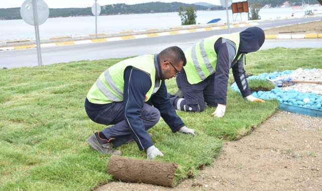 Balıkesir Büyükşehir Belediyesi, ürettiği çimleri kullanıyor