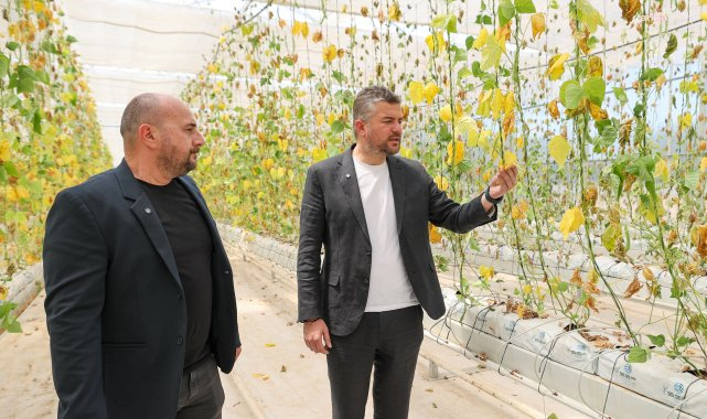 Buca'da sabotaj girişimine karşı toplu fide dikimi yapılacak