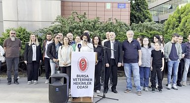 Bursa Veteriner Hekimleri Odası: Umuyoruz ki en kısa sürede gerçek suçluları ortaya çıkarıp kamuoyu ile paylaşırlar