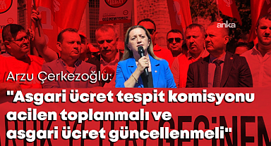DİSK Başkanı Arzu Çerkezoğlu'ndan asgari ücret açıklaması: "Asgari Ücret Tespit Komisyonu acilen toplanmalı"