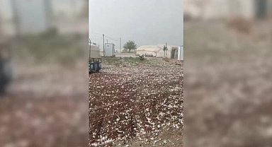 Dolu yağışı tarım alanlarını vurdu