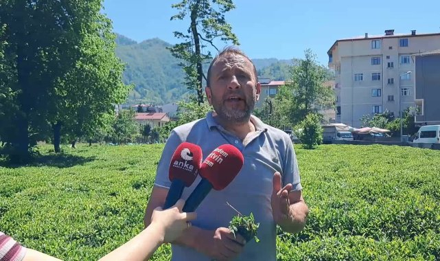 Geçici işçi alımlarında "başvuru tarihinden önceki 6 ay SGK'lı bulunmama" şartına tepki: Demokratik ve adil bir karar değil