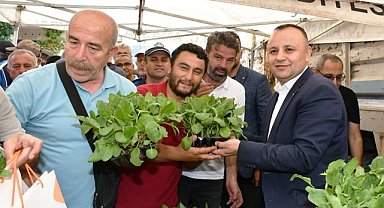 İBB'den Amasya'ya 42 bin fide desteği