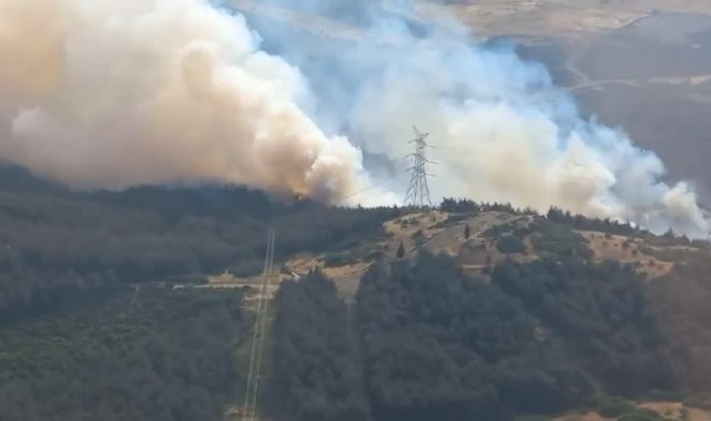 İzmir Aliağa'da orman yangını çıktı