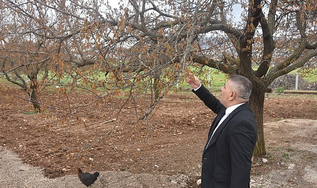 MTSO Başkanı Sadıkoğlu'ndan 'zirai don' uyarısı: