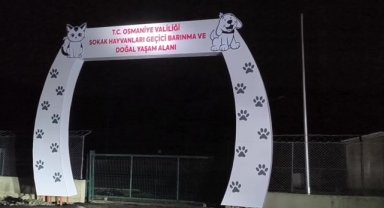 Osmaniye'de yapımı devam eden 'geçici köpek barınağı' sular içerisinde kaldı