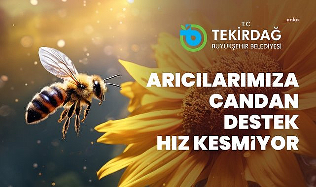 Tekirdağ Büyükşehir Belediyesi'nin "Arı Yaşam Gücü Projesi" için başvurular başladı