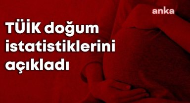 TÜİK: 2001'de doğurganlık hızı 2,38 çocuk iken 2024'te 1,48'e düştü