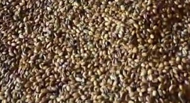 Yozgatlı kadınlar ürettikleri ürünleri işleyip, pazara sunuyor