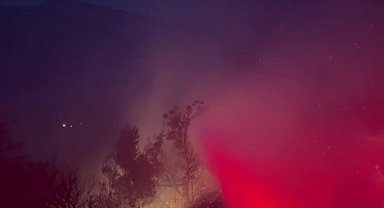 Adana'da orman yangını devam ediyor