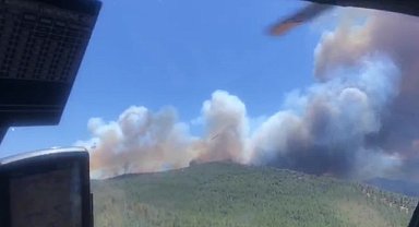 Akhisar'da orman yangını 