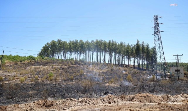 Antalya Büyükşehir Belediyesi İtfaiyesi'nden orman yangınlarına müdahale