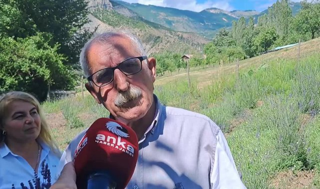 Ardanuç'ta kadınlar lavantayla üretime atıldı