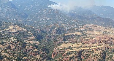 Aydın'da orman yangını: Efeler ve Bozdoğan'da alevlere havadan ve karadan müdahale