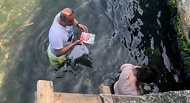 Büyükada'da sekiz gün süren kedi kurtarma seferberliği mutlu sonla bitti