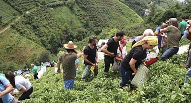 ÇAYKUR, çay alımlarında fırsatçılık yapan özel firmalara karşı üreticileri uyardı: 