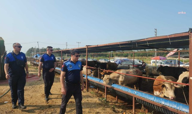 Çiğli'de kurban pazarları ve kesim noktalarına denetim
